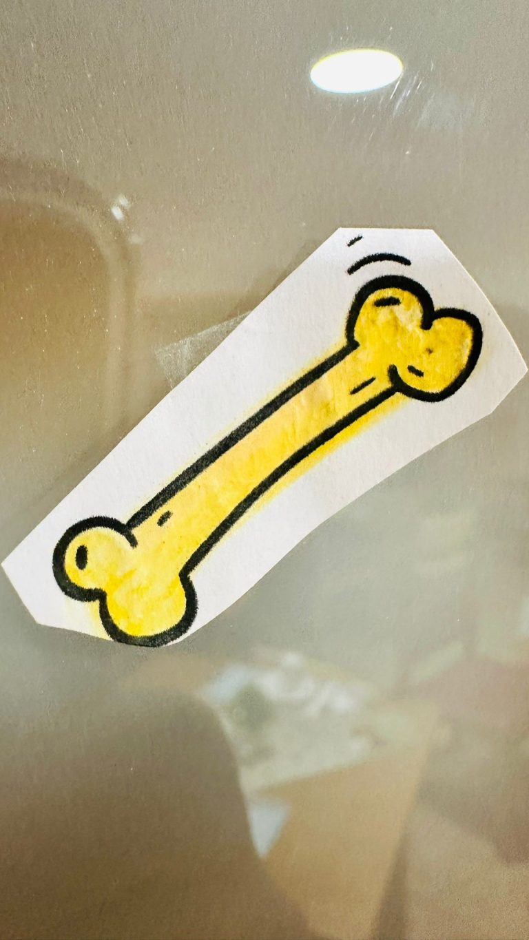 WhatsApp Image 2026-04-14 at 11.59.41 (1)