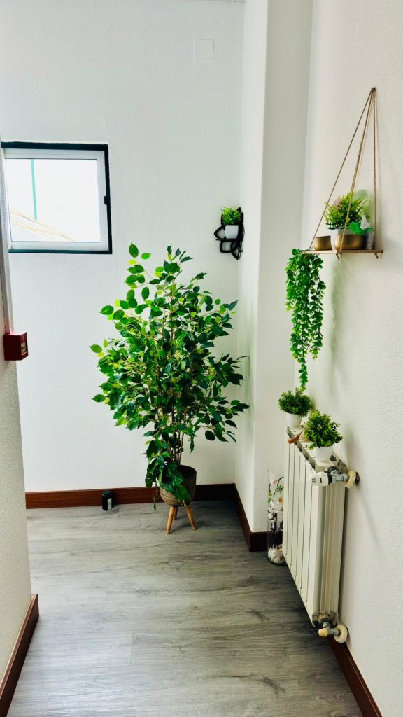 WhatsApp Image 2026-04-14 at 12.52.28 (3)