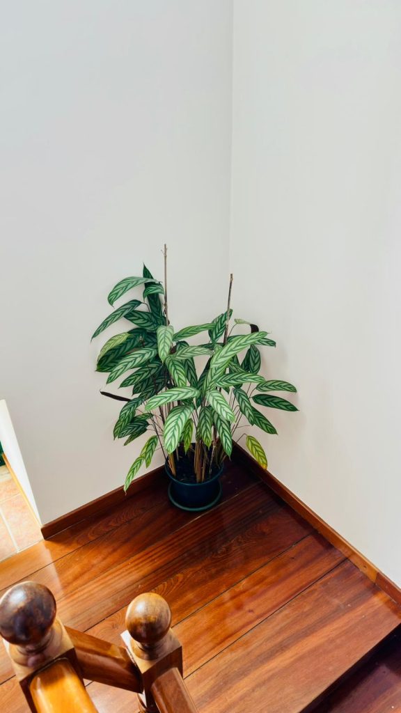 WhatsApp Image 2026-04-14 at 12.52.31